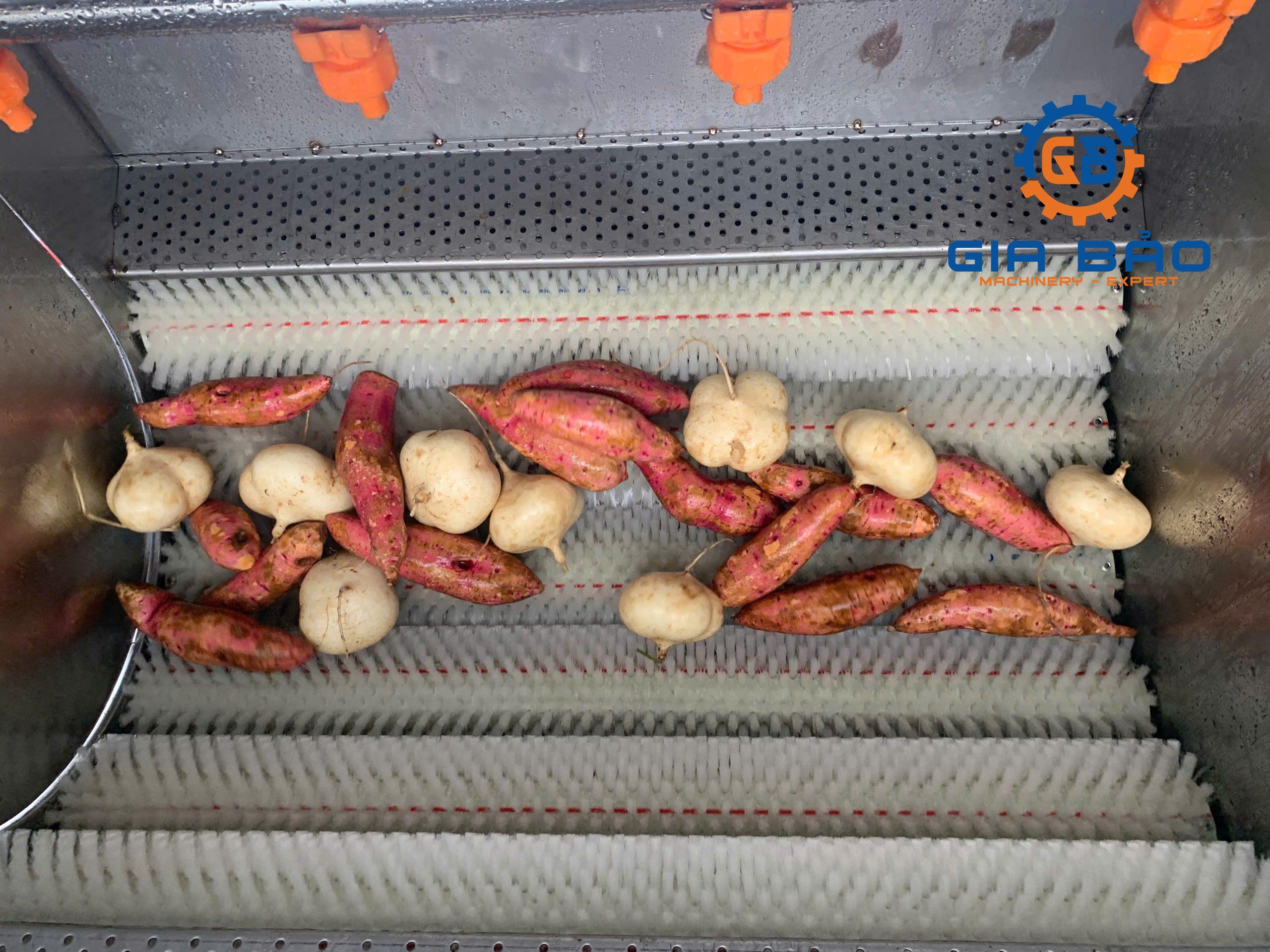 z6453792996849_8bc2316bdea6bfadabbc03cf8898800d